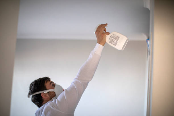 Best Residential Mold Removal  in Somerset, WI